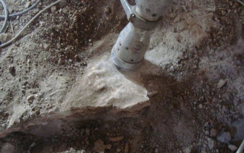 Photo (19)